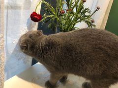 -万达广场(泰安泰山店)