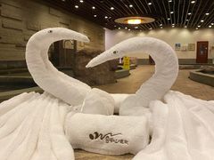 -天目湖涵田半山温泉