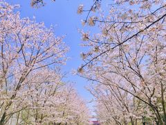 -新天地活力PARK