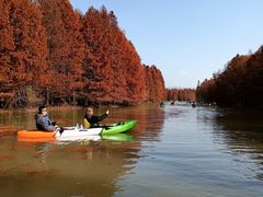 -上海海湾国家森林公园