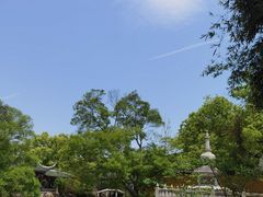 -江心屿景区