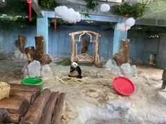 -海南热带野生动植物园