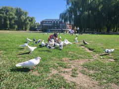 -银树楼(紫玉山庄东区店)