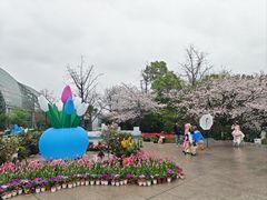 -南山植物园
