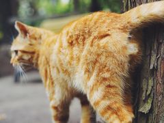 -苏州河梦清园环保主题公园