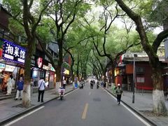 -茶颜悦色(登高路上店)