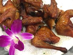 -鸽鸟轩(石岐店)