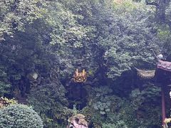 -杭州黄龙洞