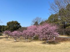 -东方绿舟景区