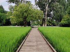 -北坞公园