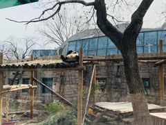 -蓝莓果幼儿园(通州梨园店)