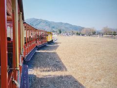 -径山花海