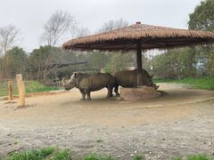-宁波野生动物园