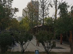 -首都医科大学附属北京潞河医院