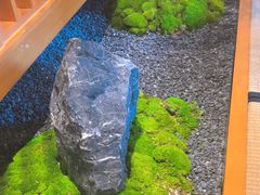 -月龍吟(朝龙汇店)