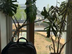 -Green Option(官舍店)