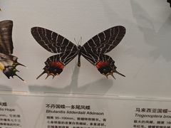 -天津自然博物馆