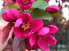 -唐城墙遗址公园