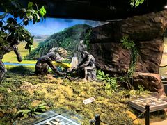 -马鞍山市博物馆