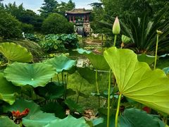 -国家植物园南园