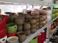 -金科花卉市场