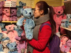 -济州岛泰迪熊博物馆