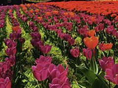 -廊坊文化艺术中心