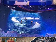 -珠海长隆海洋王国