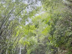 -玉树公园
