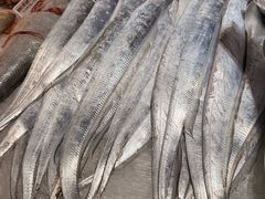 -舟山希尔顿酒店