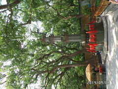 -普陀山风景名胜区-法雨禅寺