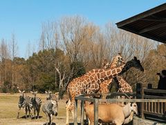 -宁波野生动物园