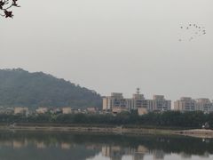 -风云岭森林公园