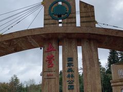 -五营红松林海景区