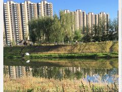 -东坝千亩湖公园