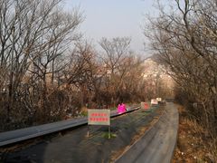 -富斯特索道