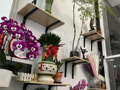 -FEI FEI FLOWER鲜花店·气球派对·宝宝宴布置(虹口德必运动Loft店)