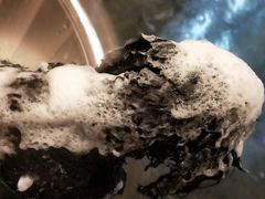 -PETKIT 小佩宠物·低压洗护·美容·寄养(安远店)