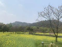 -黄陂区野村谷景区