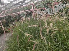 -长春农博园