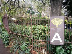-墨尔本皇家植物园