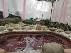 -苏州环秀晓筑养生度假村