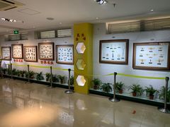 -上海昆虫博物馆