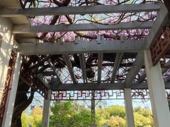 -Peet's Coffee皮爷咖啡(德基店)