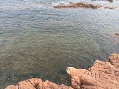 -青岛第一海水浴场