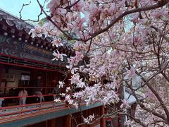 -潭柘寺景区