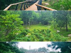 -白水寺森林公园