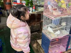 -曲阳花鸟市场(曲阳路店)
