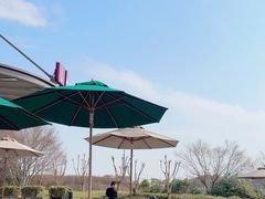 -比斯特上海购物村精品奥特莱斯