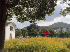 -乌石塘景区